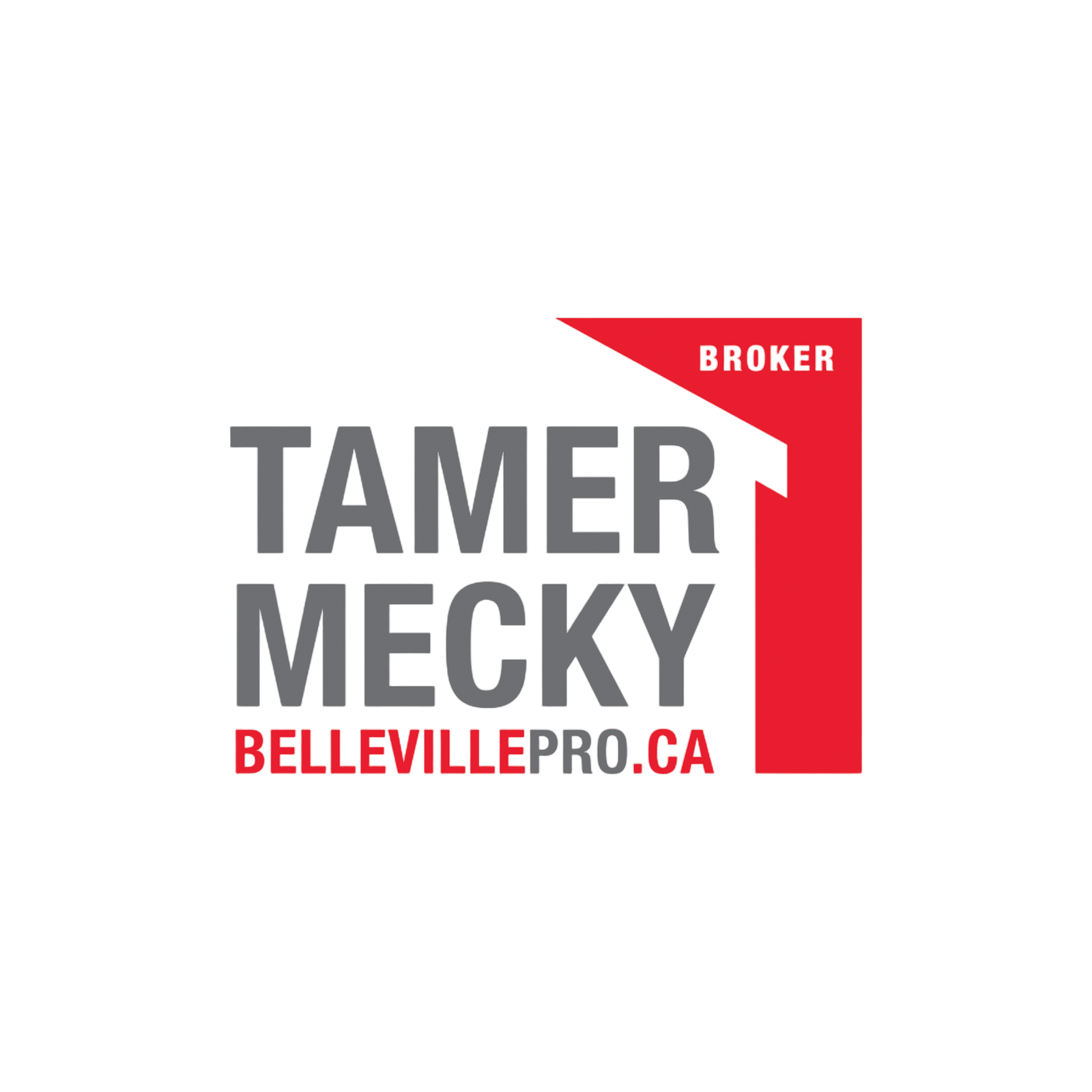 Tamer Mecky Royal LePage Proalliance Realty Search all listings